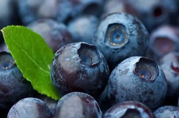 Pterostilbene – known as the second generation of resveratrol